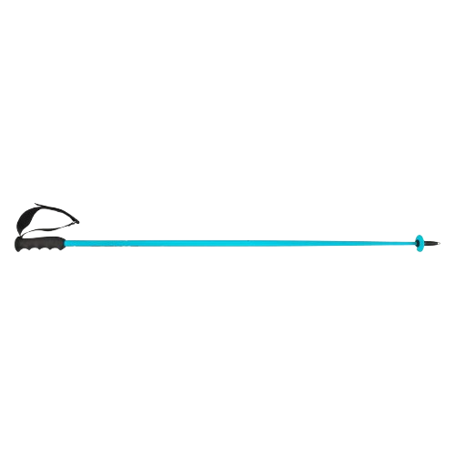 Bețe de schi HEAD Worldcup SL Speed Blue - 2025/26