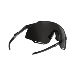 Dynafit Alpine Sunglasses Black Out/Nimbus- 2025/26