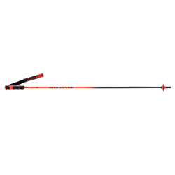 Stâlpi Rossignol Hero Carbon - 2025/26