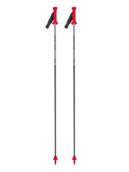 Bastoane Van Deer Race GS Carbon - 2025/26