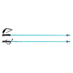 Baston de schi HEAD Worldcup Rebels Carbon Speed Blue - 2025/26