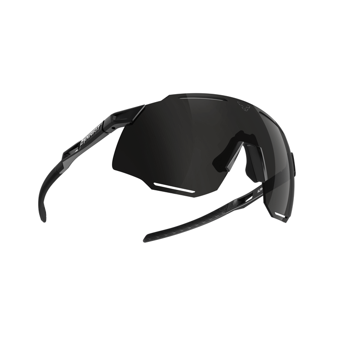Dynafit Alpine Sunglasses Black Out/Nimbus- 2025/26