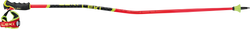 LEKI WCR GS Carbon 3D Red - 2025/26