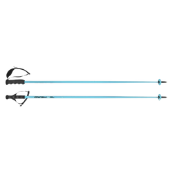 Bețe de schi HEAD Worldcup SL Speed Blue - 2025/26