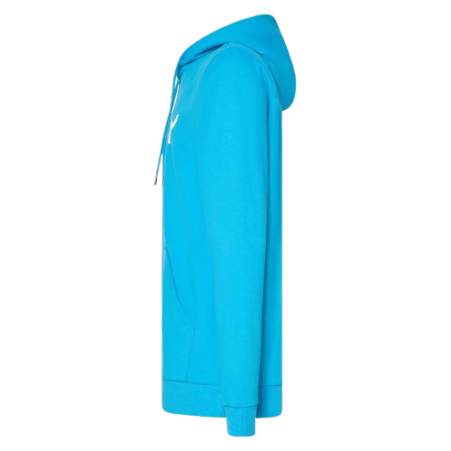 Hanorac Oakley B1B PO Hoodie 2.0 Swimming Blue