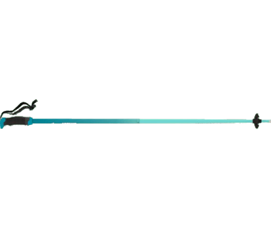 Bețe de schi Atomic Redster X SQS Teal Tension - 2025/26