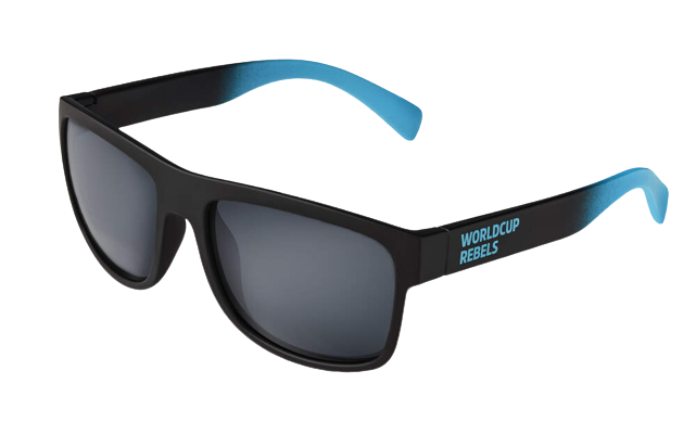 Ochelari de protecție HEAD Signature Chrome/WCR - 2025/26
