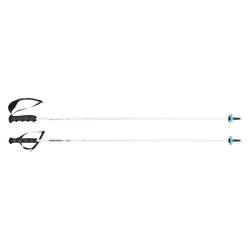 Baston de schi HEAD Worldcup Rebels Carbon White - 2025/26