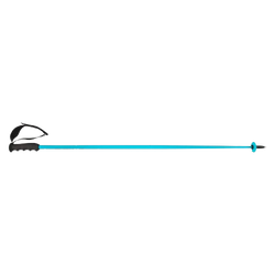Bețe de schi HEAD Worldcup SL Speed Blue - 2025/26