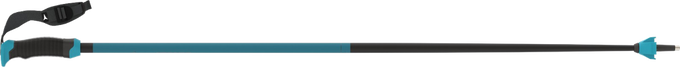 Bețe de schi Atomic Redster X Carbon SQS Teal Blue – 2024/25