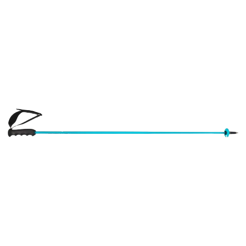 Baston de schi HEAD Worldcup Rebels Carbon Speed Blue - 2025/26