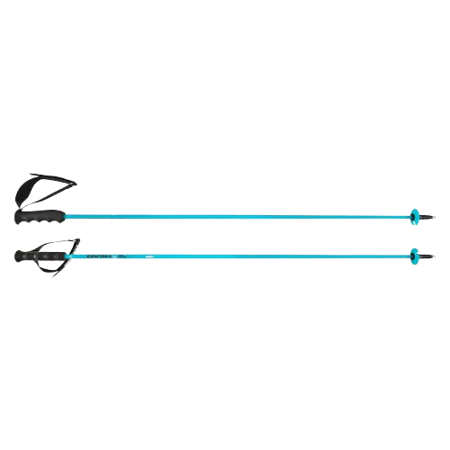 Baston de schi HEAD Worldcup Rebels Carbon Speed Blue - 2025/26