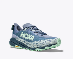 Pantofi bărbați Hoka Speedgoat 6 Moonlight / Thunder Cloud
