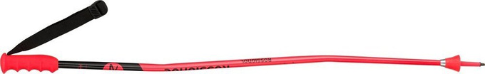 ROSSIGNOL Hero GS-SG Junior - 2021/22