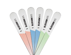 Schiuri Blossom Skis Turbo AM77 Multiflex PR Base + PRD 12 - 2024/25