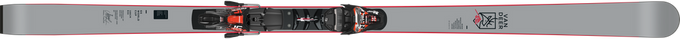 Schiuri Van Deer GS FIS WC 30 R22 + Marker XComp 16 Black Flo Red - 2024/25