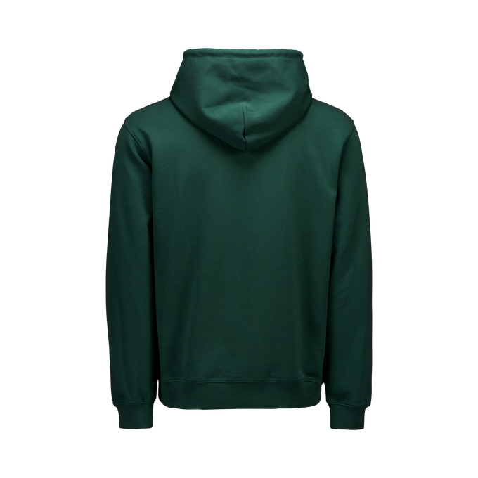 POC Hood Pargasite Green - 2025/26