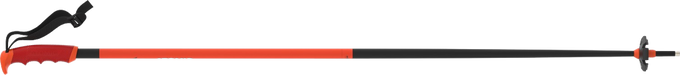 Bețe de schi Atomic Redster Red - 2024/25