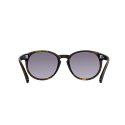 Ochelari de soare POC Know Tortoise Brown/Clarity Road/Sunny Silver