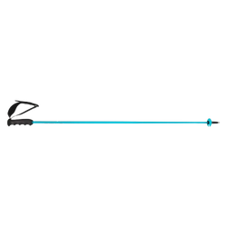 Baston de schi HEAD Worldcup Rebels Carbon Speed Blue - 2025/26