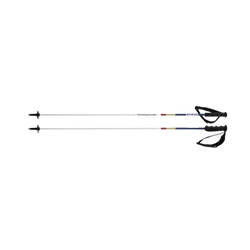 Head Porsche Carbon - 2023/24