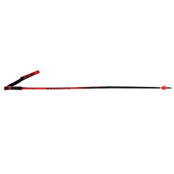 Bețe de schi Rossignol Hero GS-SG - 2025/26