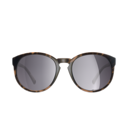 Ochelari de soare POC Know Tortoise Brown/Clarity Road/Sunny Silver